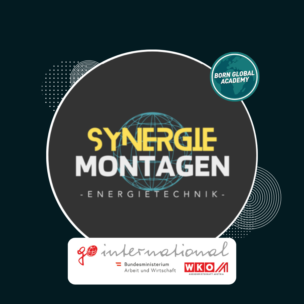 Synergie Montagen